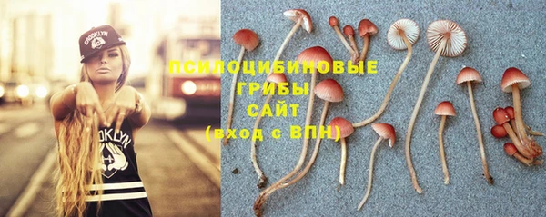 шишки Володарск