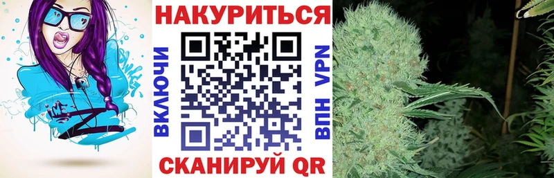 Канабис план  Кадников 